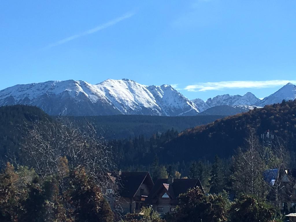Villa Gronik Zakopane Dış mekan fotoğraf